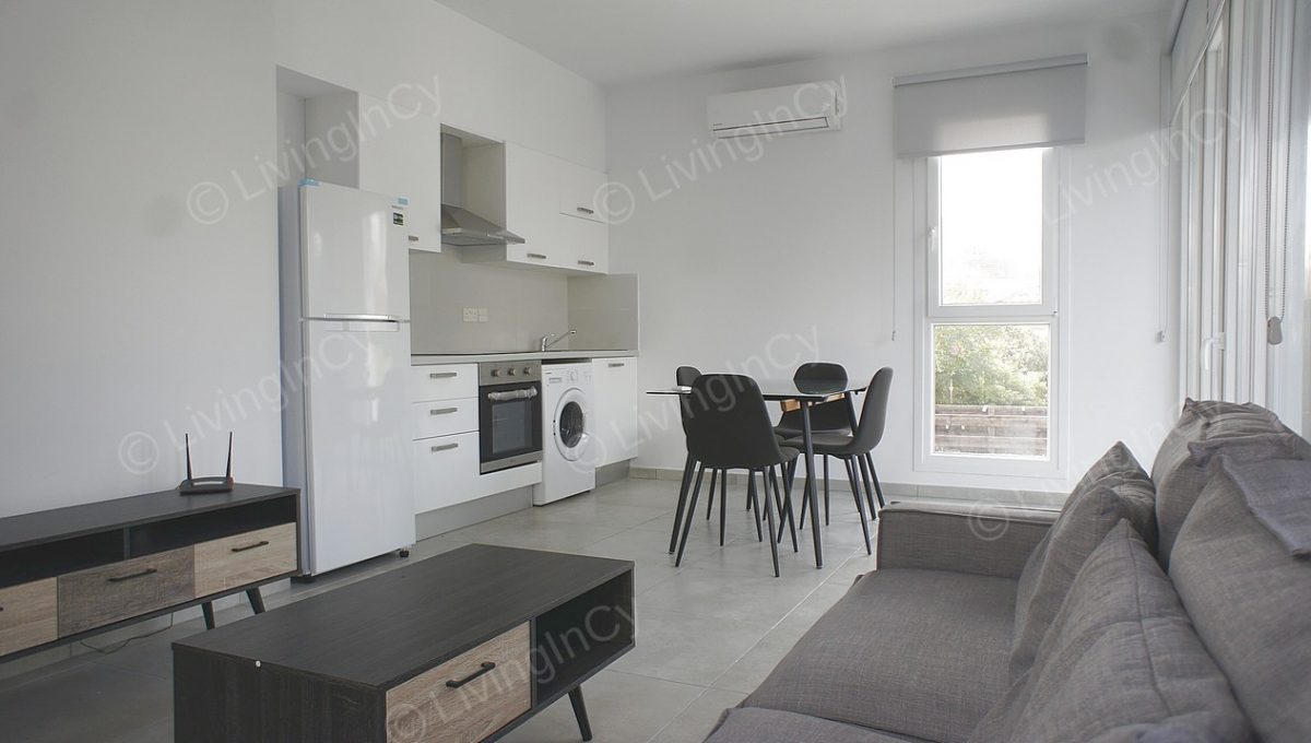 Apartment 1 Bedroom For Rent In Nicosia City Center
